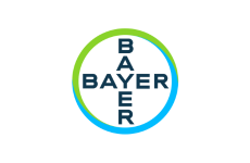 Bayer